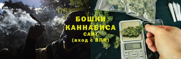 прущие грибы Навашино