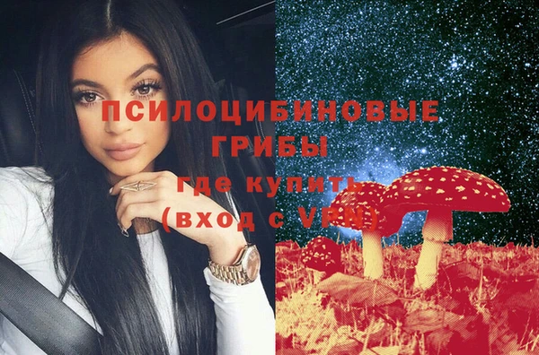 стаф Надым