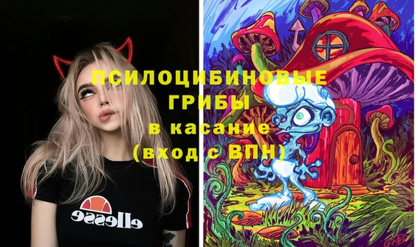 прущие грибы Навашино