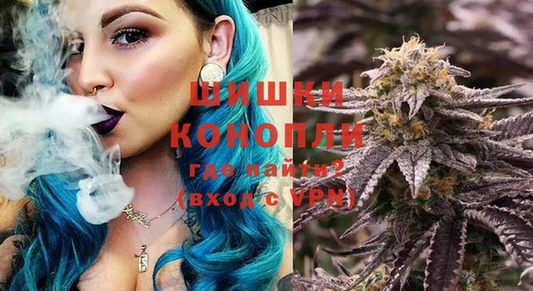 стаф Надым