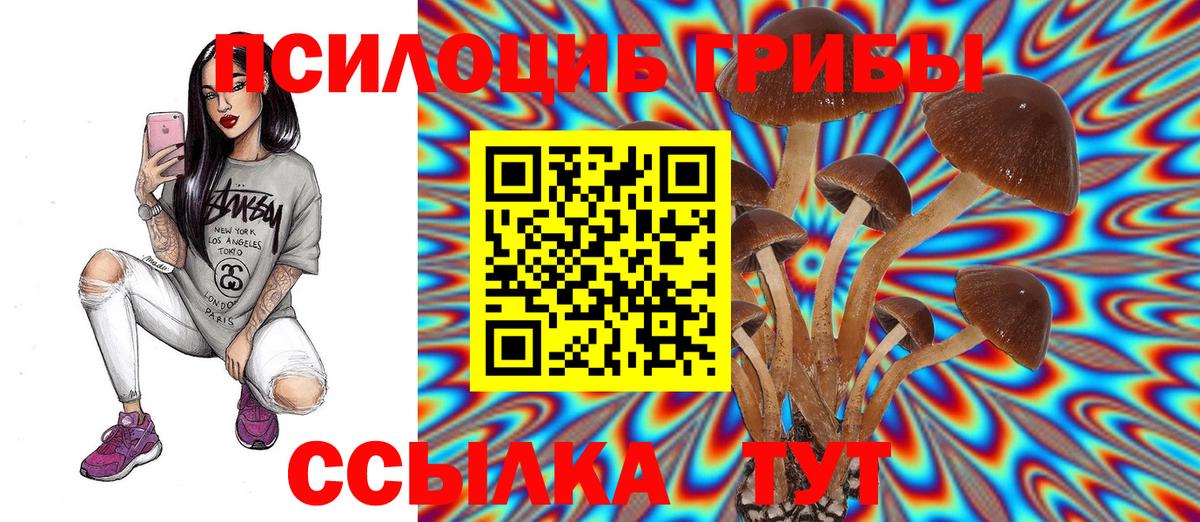 Галлюциногенные грибы MAGIC MUSHROOMS Кемерово