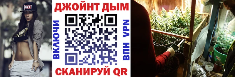 Марихуана сатива  купить наркотик  Кемерово 